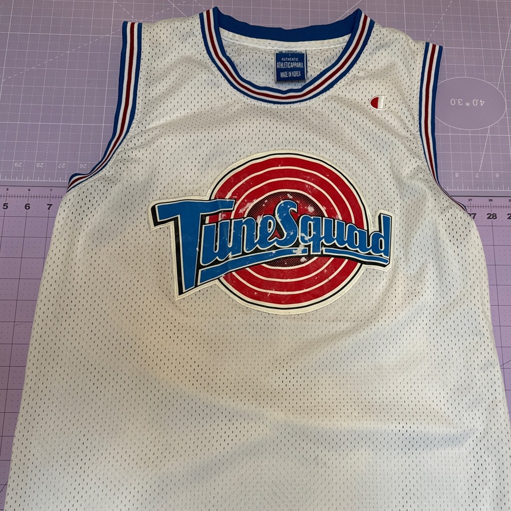 Tunes squad michael jordan authentic vintage jersey 
size large